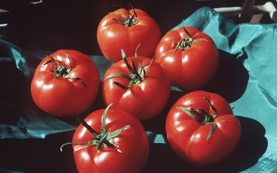 πολυεθνικές-σπεύδουν-να-κατοχυρώσου-2042947