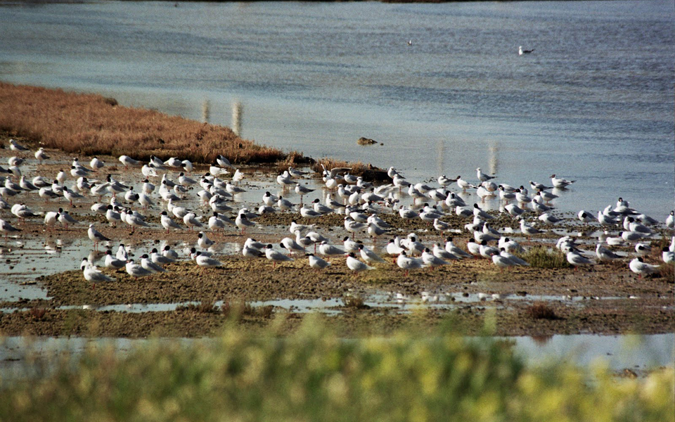 σε-καθεστώς-προστασίας-τίθεται-ο-υγρο-2042064