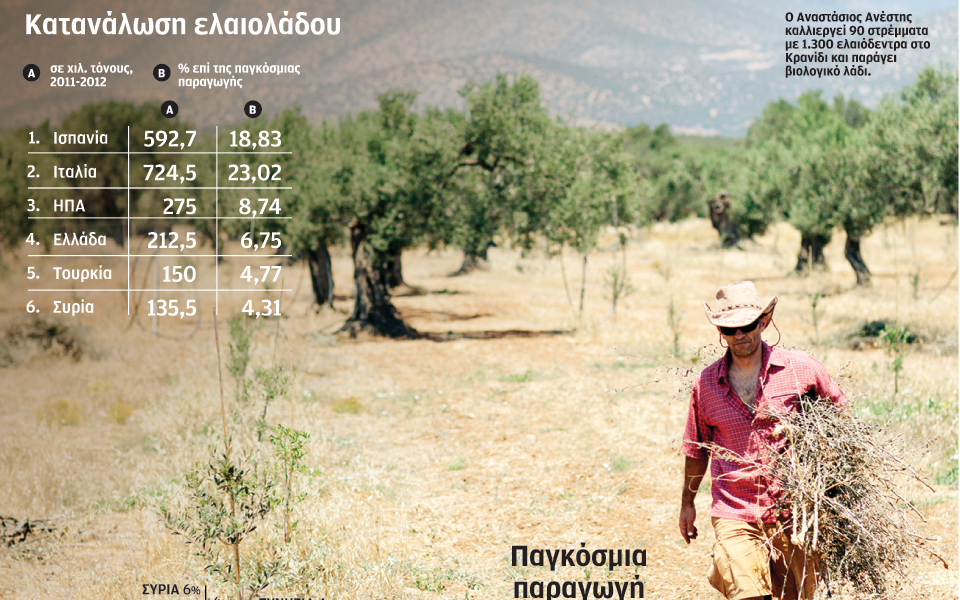 από-το-σχολείο-στον-ελαιώνα-μέχρι-τη-δ-2045495