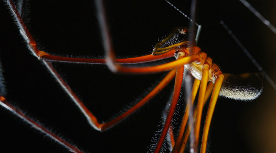 φωτογραφήματα-2047134