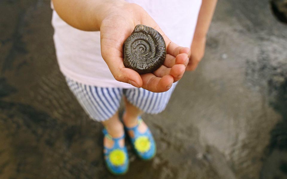 έκθεση-και-εργαστήρια-στα-χνάρια-της-ζ-2045328