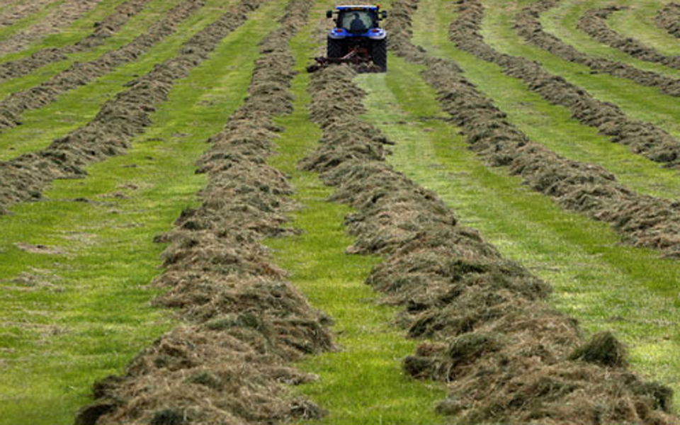 ε-ε-μεγαλύτερη-ενίσχυση-στους-ευρωπαί-2044904