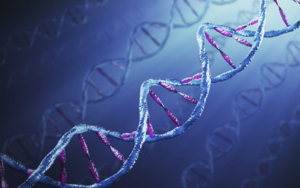 λογισμικό-της-sap-στην-υπηρεσία-της-γονι-2047029