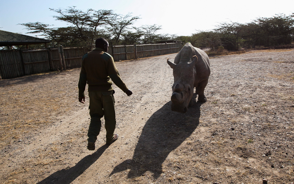 κένυα-καταφύγιο-για-τους-τελευταίους-2042186