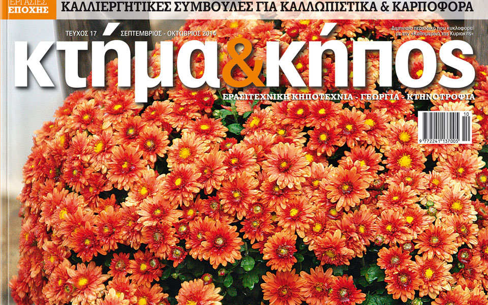 κτήμα-κήπος-οκτωβρίου-2044618