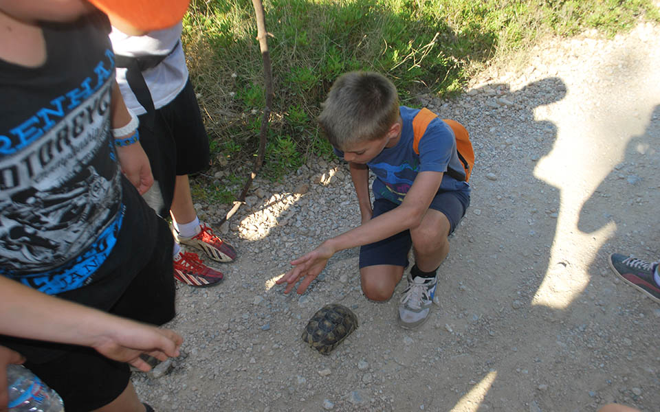 μια-περιπέτεια-στην-πάρνηθα-με-το-χαρ-2043434