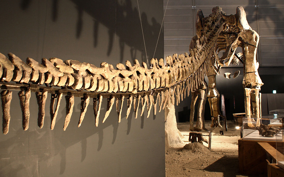 ανακαλύφθηκε-ο-μεγαλύτερος-δεινόσαυ-2042643