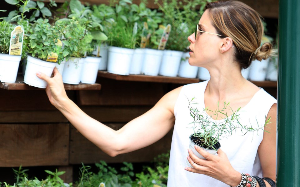 10-θεραπευτικές-χρήσεις-των-βότανων-για-2044523