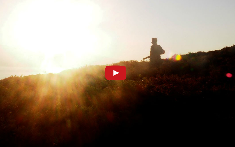 ξημέρωμα-στο-αιγαίο-2043653