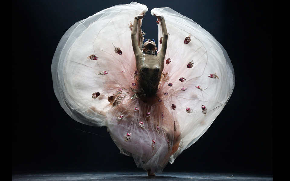 yang-liping-χορεύτρια-ετών-56-2042624