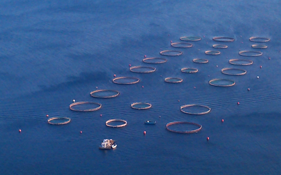 χρηματοδότηση-επενδυτικών-σχεδίων-π-2046613