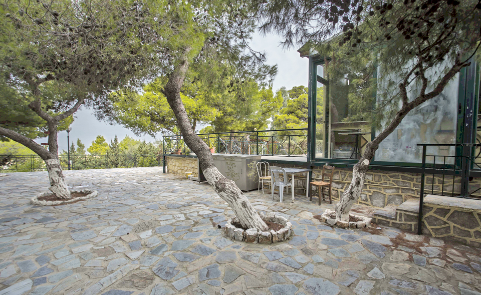 στο-δασάκι-του-προφήτη-ηλία-στην-ηλιού-2048868