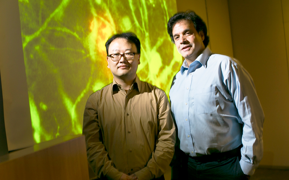 το-αλτσχάιμερ-στο-εργαστήριο-2049376