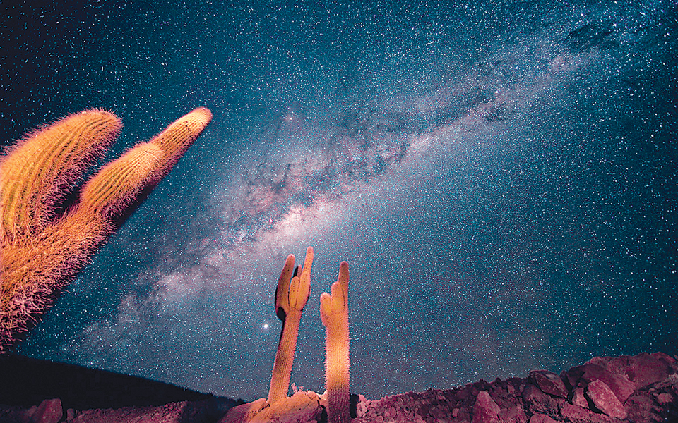 ταξίδι-χωρίς-τέλος-2049838