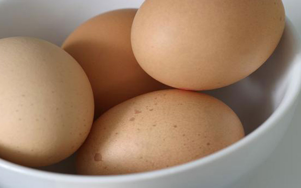 qa-υπάρχει-κάποια-διαφορά-στη-θρεπτική-2047932