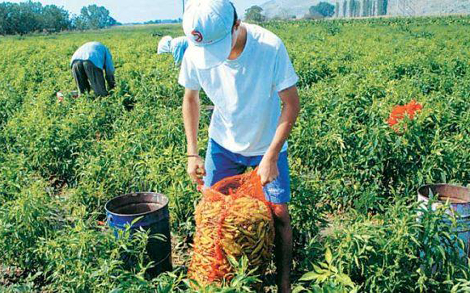 επιμορφωτικά-σεμινάρια-για-νέους-αγρ-2047504