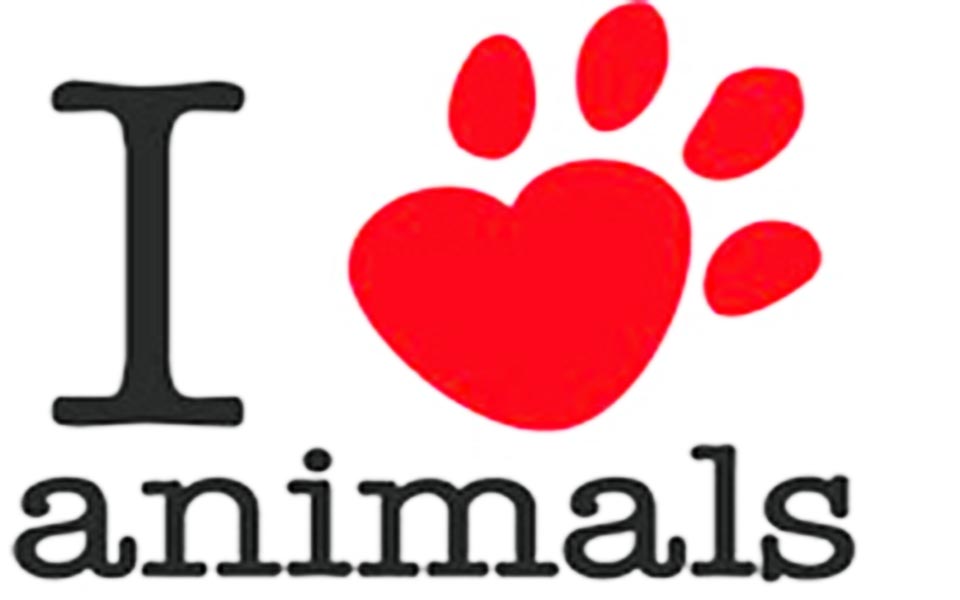 εκδηλώσεις-παγκόσμια-ημέρα-των-ζώων-2047682