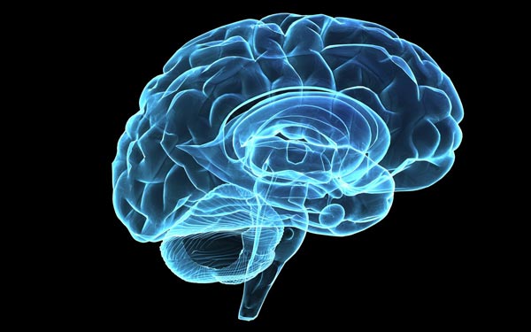εγκεφαλικές-ανωμαλίες-προκαλεί-το-σύ-2051977