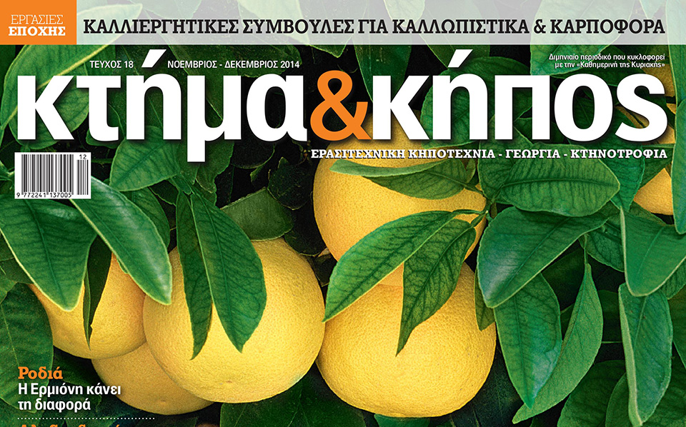 κτήμα-κήπος-νοεμβρίου-2051523