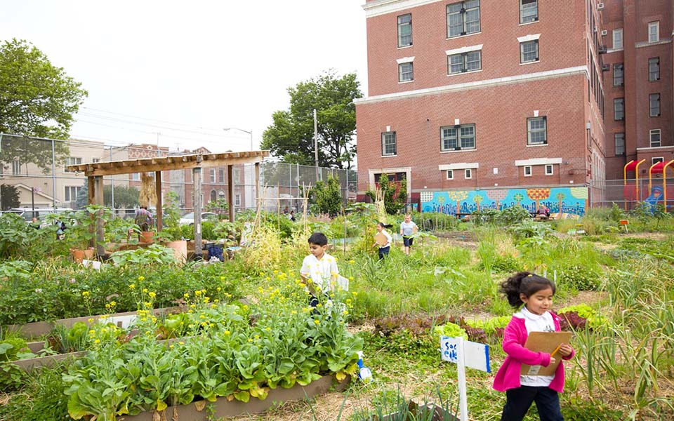 μια-τάξη-που-τρώγεται-2048905