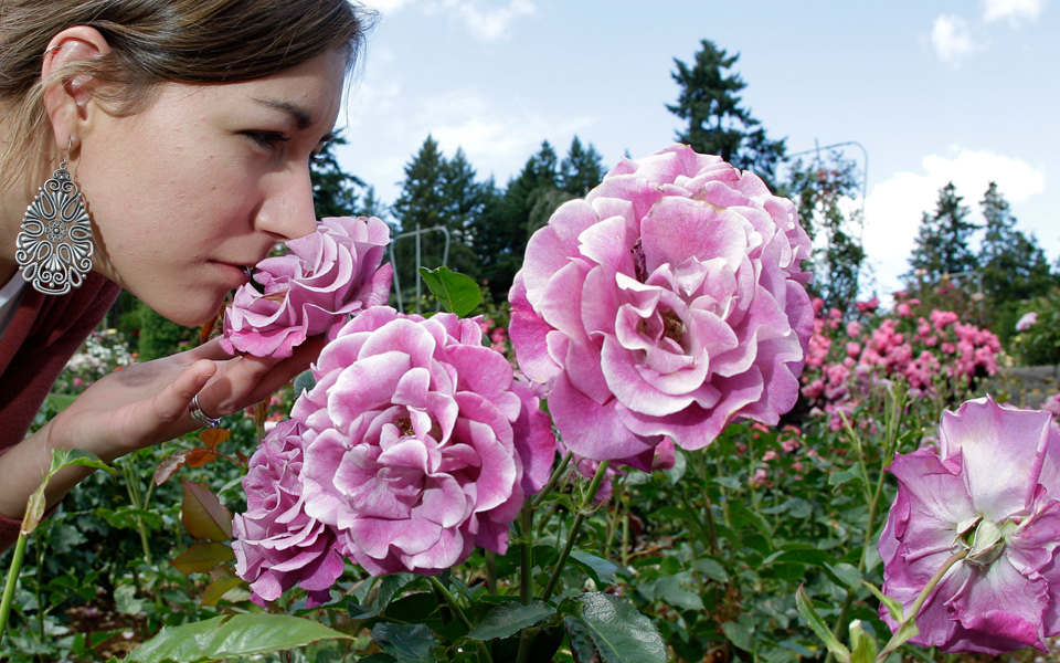 οι-εκπληκτικές-δυνατότητες-της-όσφρη-2051317