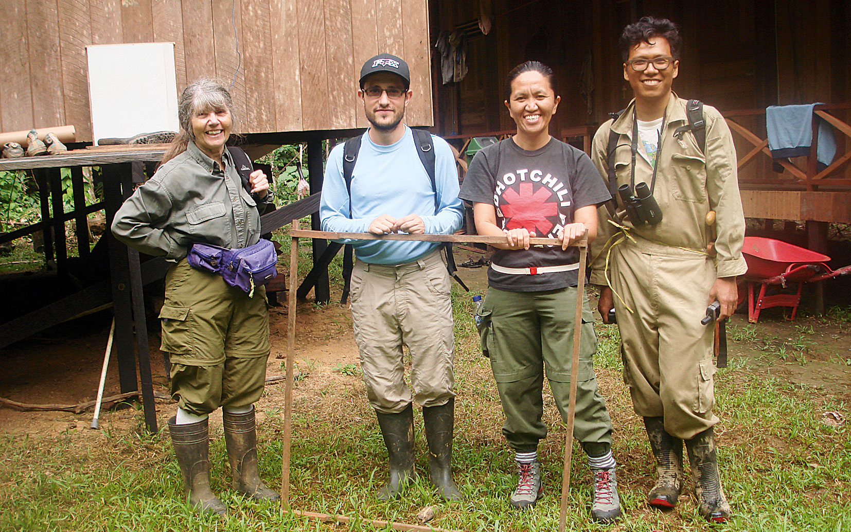 οι-φωστήρες-της-ζούγκλας-2051511