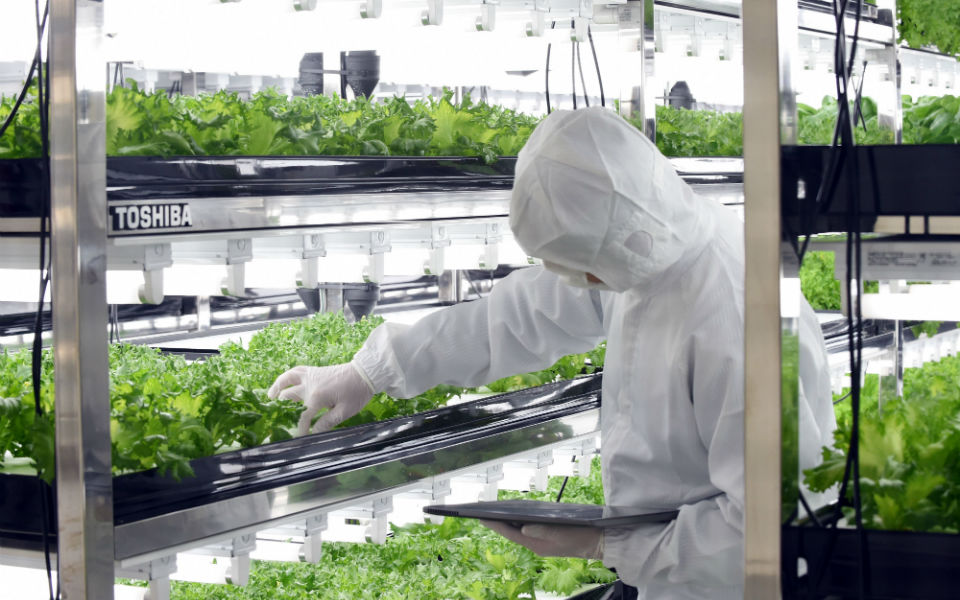 φωτογραφήματα-2053993