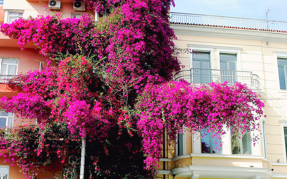 το-άδοξο-τέλος-ενός-αθηναϊκού-αξιοθέα-2054801