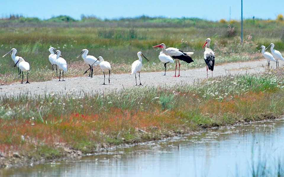 εγκρίθηκε-η-ανέγερση-οικισμού-στον-υγ-2055570