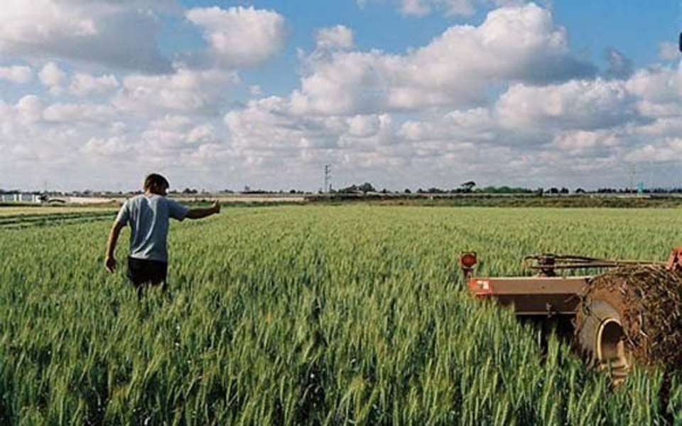 πρόγραμμα-στήριξης-16-000-νέων-αγροτών-από-2055252
