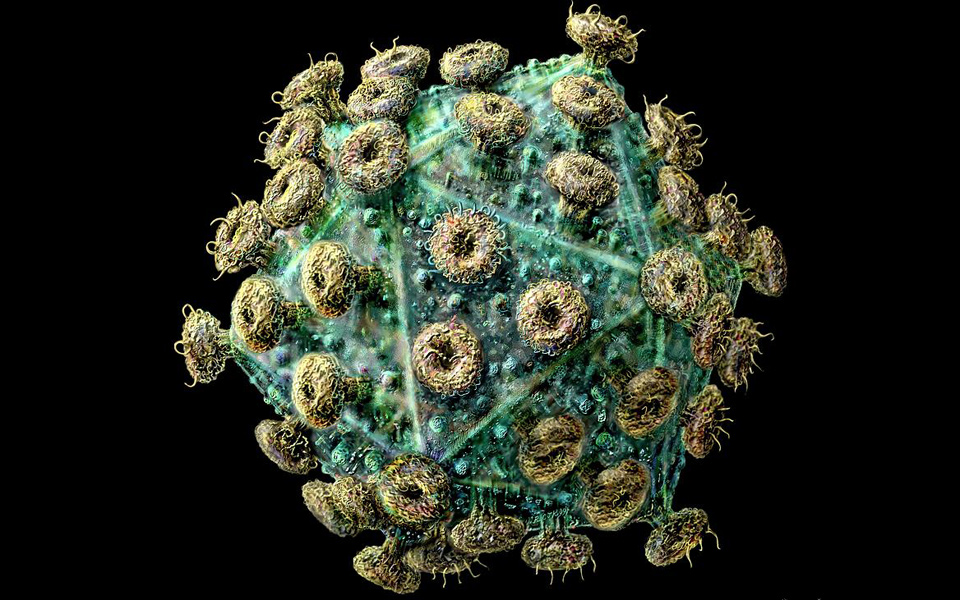 φορείς-ενσωμάτωσαν-το-aids-στο-dna-τους-2052740