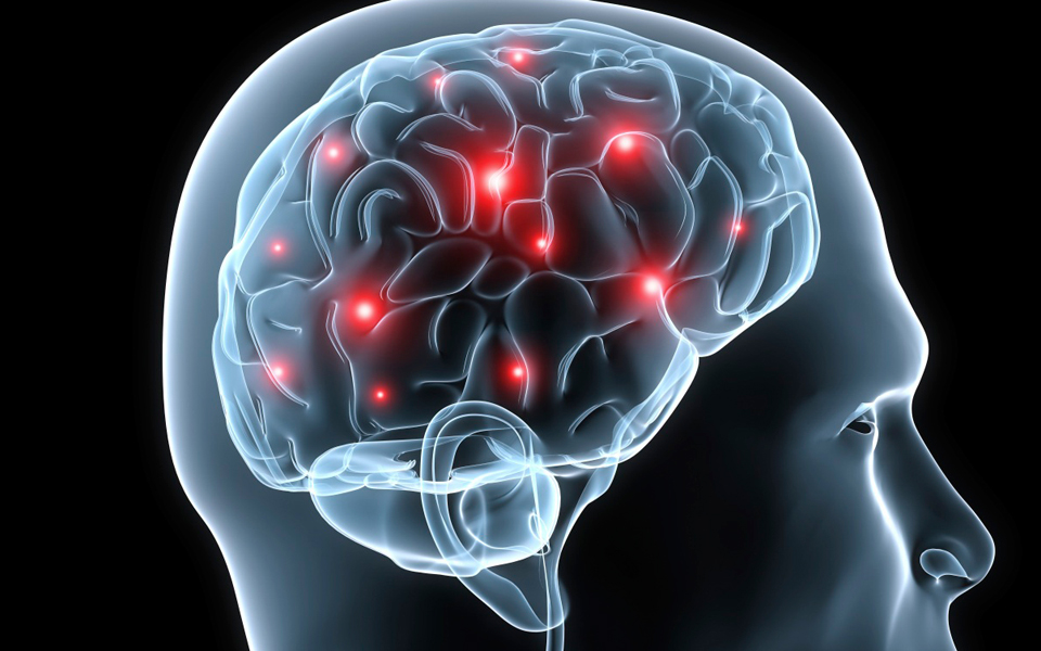 οι-νευρομύθοι-στην-εκπαίδευση-2052255