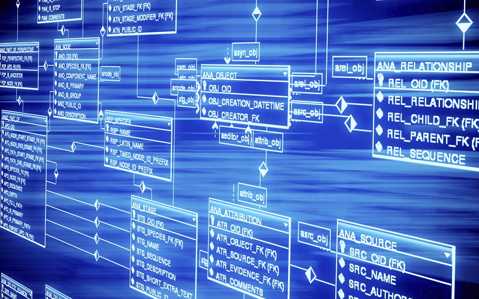 νέες-καινοτόμες-λύσεις-από-τη-sap-2054912