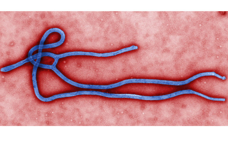 το-υπ-υγείας-ζητεί-ενημέρωση-για-εμπολ-2052729