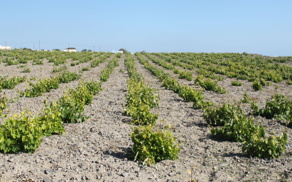 στήριξη-δράσεων-ενημέρωσης-σχετικά-μ-2056569