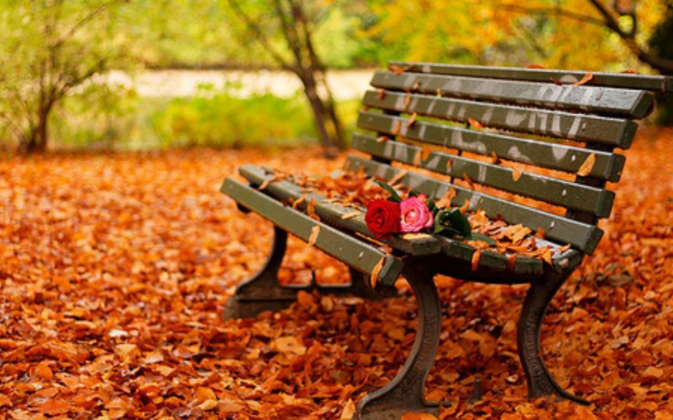 qa-τα-ζωηρά-χρώματα-του-φθινοπώρου-2053492