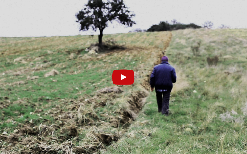 αρχαία-στα-χωράφια-της-αμφίπολης-2056251