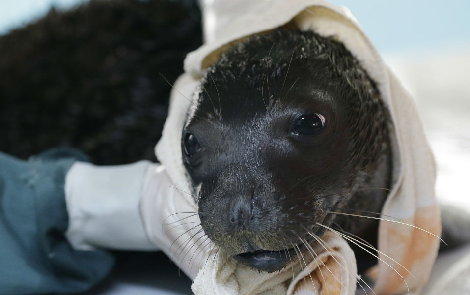 φωτογραφήματα-2058461