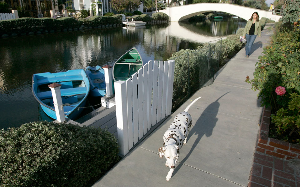 οσοι-έχουν-σκυλιά-περπατούν-περισσότ-2060203