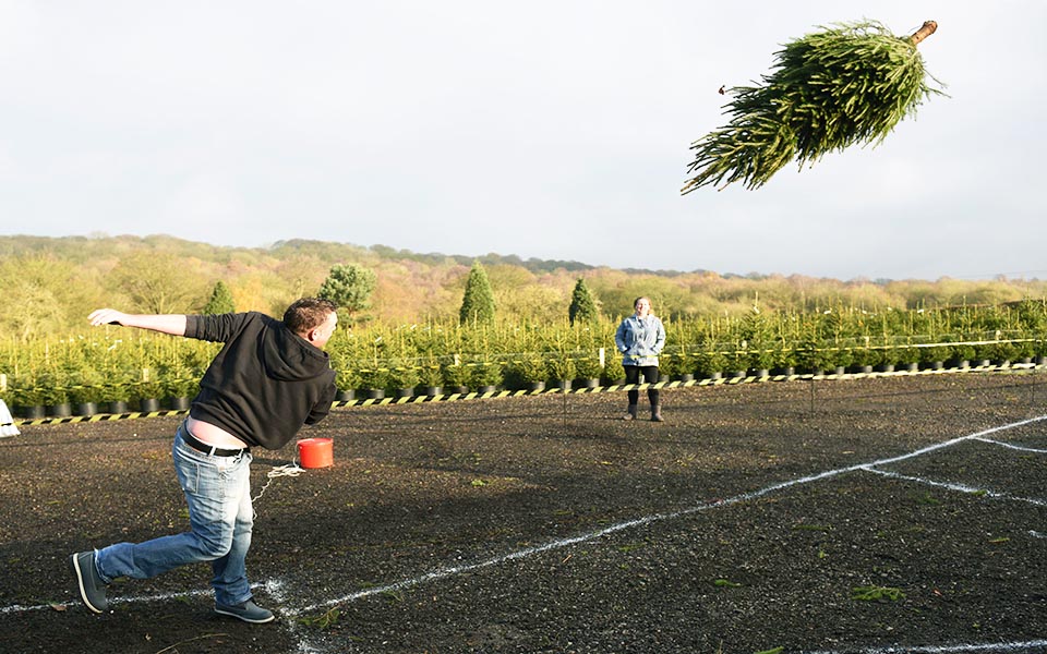 πέτα-ψηλά-το-δέντρο-2058844