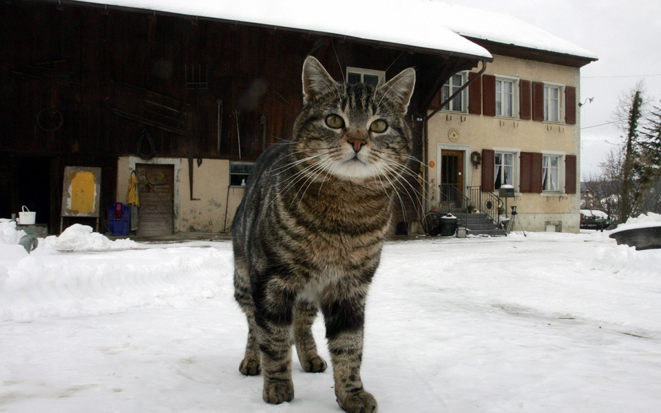κατά-πόσο-θα-πρέπει-να-θεωρείται-κατο-2057891