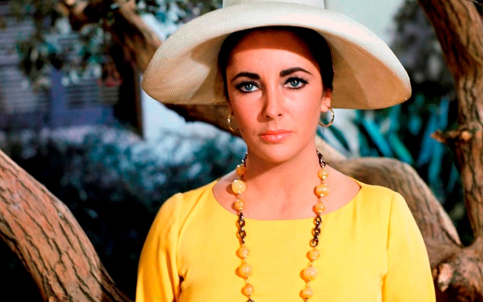 elizabeth-taylor-μια-ηθοποιός-ξεχωριστής-ευαισθησ-2057583