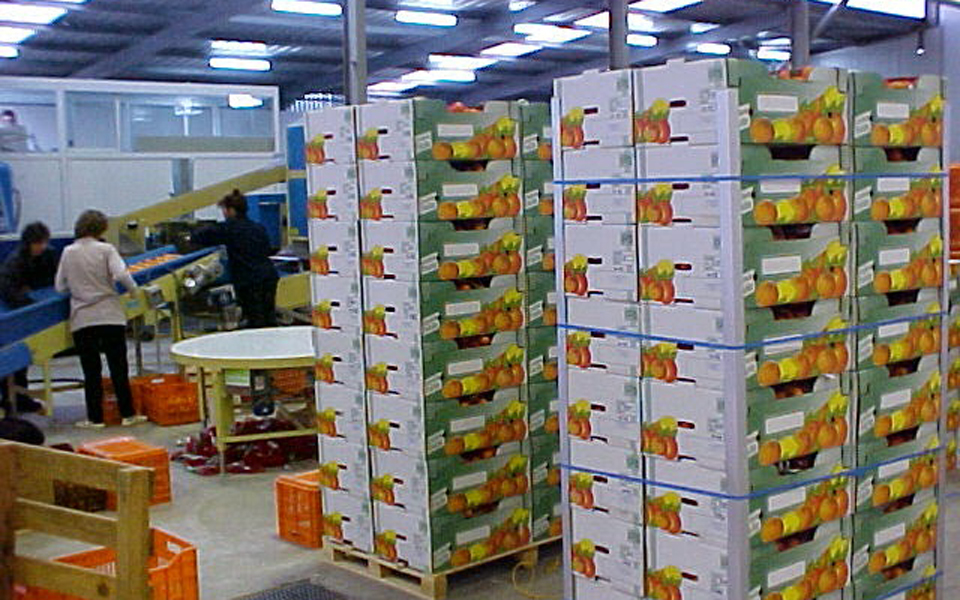 τριετές-κοινοτικό-πρόγραμμα-προώθησ-2058629