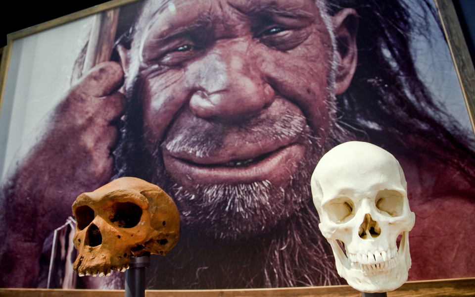 προτάσεις-για-το-δεκαπενθήμερο-που-έρ-2059051