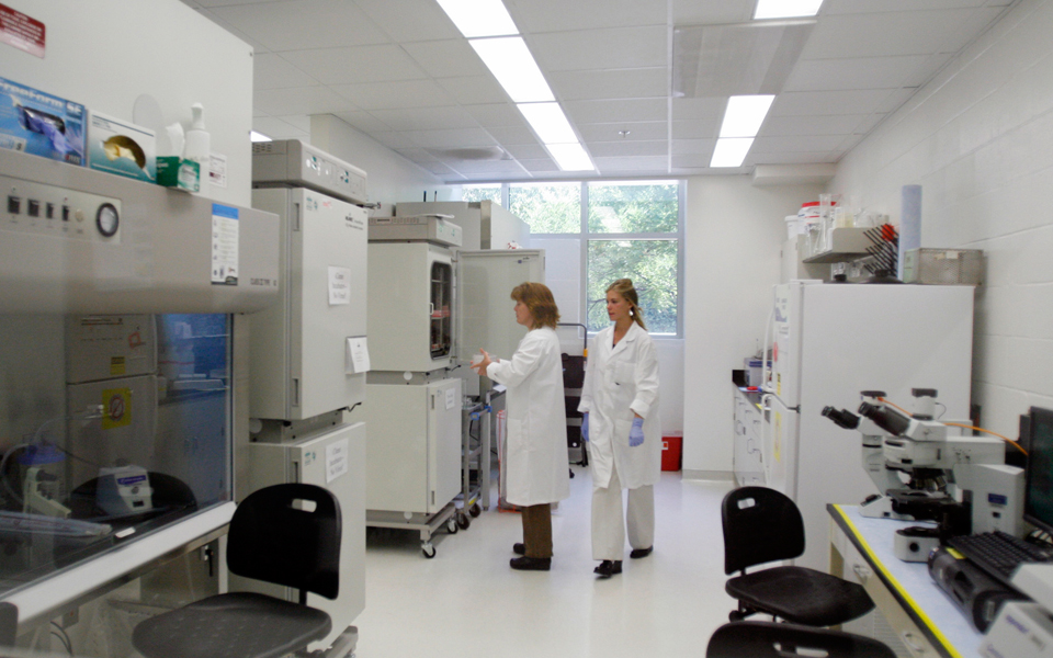 τι-περιλαμβάνει-το-πρόγραμμα-ανάπτυξ-2057801