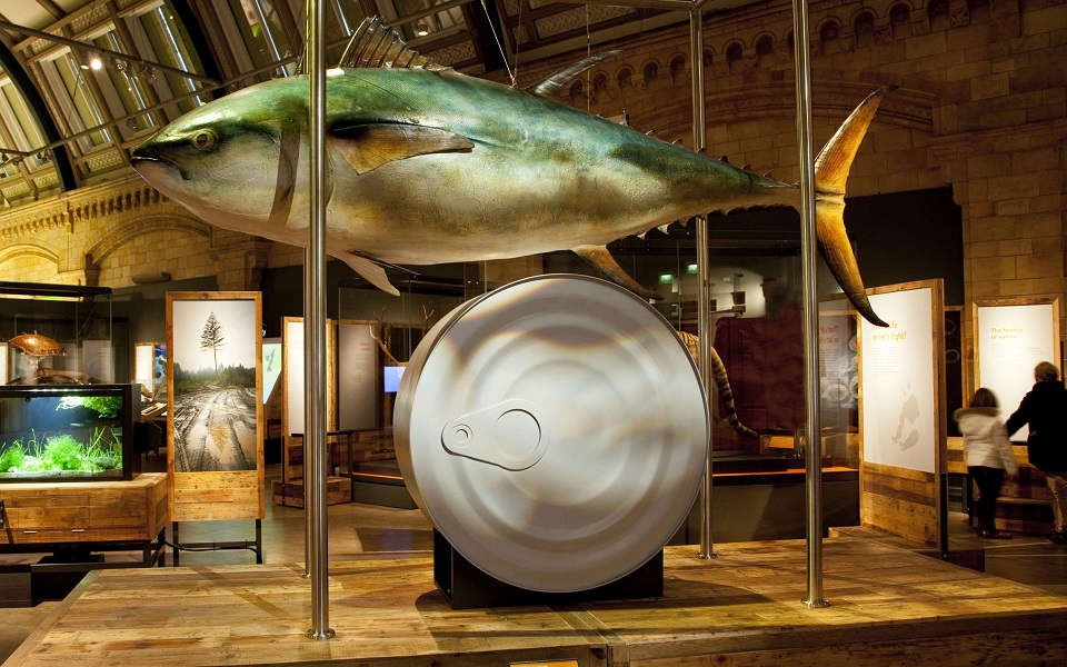 έκθεση-για-την-εξαφάνιση-των-ειδών-στο-2057728