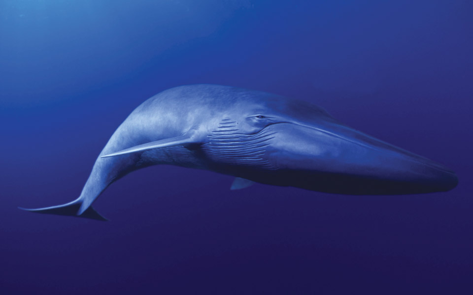 τα-top-10-του-κόσμου-2058762