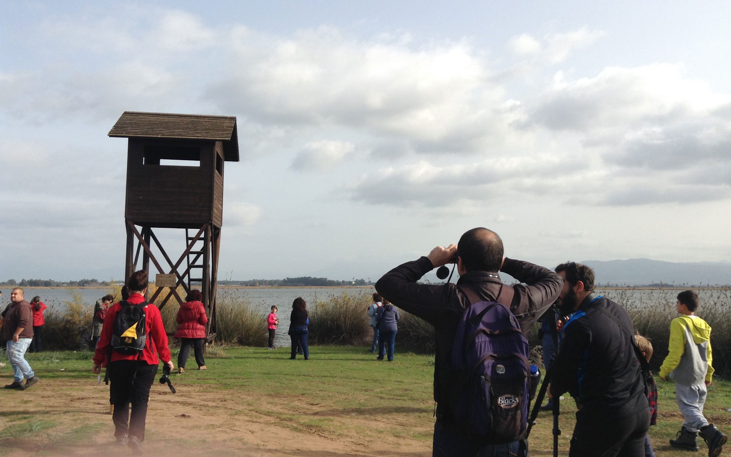 αναβιώνει-ο-οικότοπος-στη-στροφυλιά-2060257