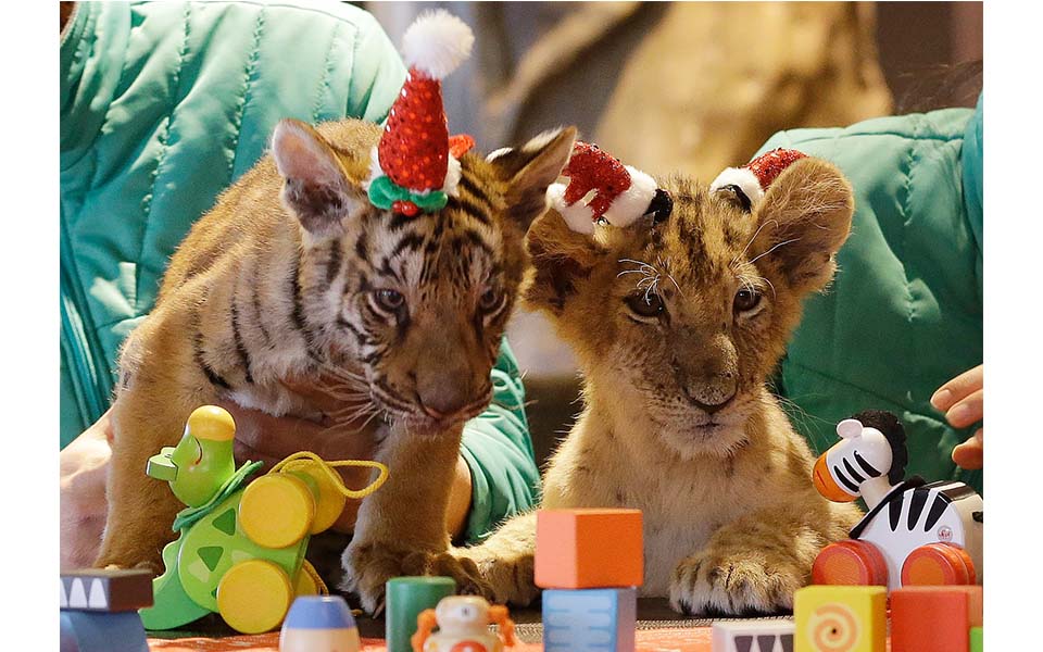 τι-μας-φέρνει-η-νέα-χρονιά-2060646