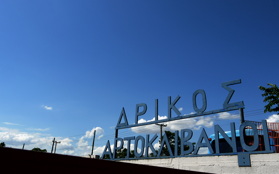 πολυποίκιλη-περιπλάνηση-στο-αιγάλε-2057518